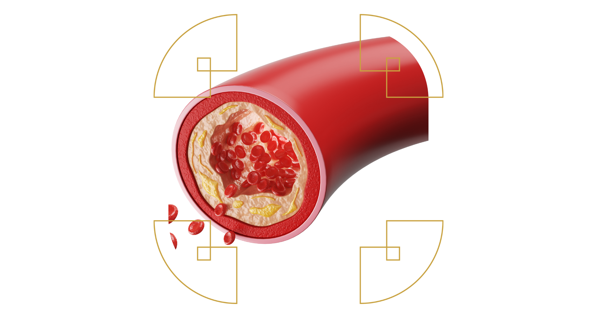 Colesterolo: da nemico pubblico a indicatore di equilibrio nella medicina integrata